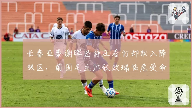 长春亚泰谢晖坚持压着打却跌入降级区，前国足主帅张效瑞临危受命被指理念南辕北辙